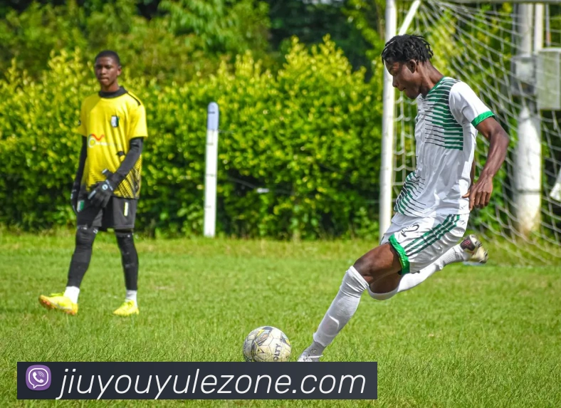 App Interface Preview